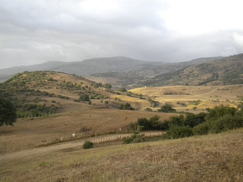 DSCN1573.JPG