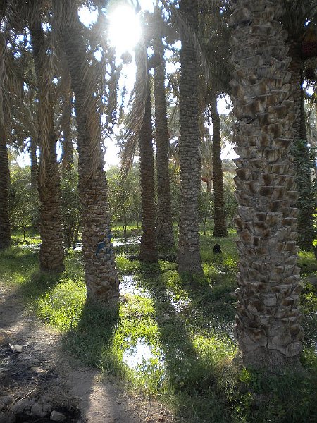DSCN1933.JPG