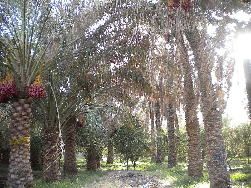 DSCN1935.JPG