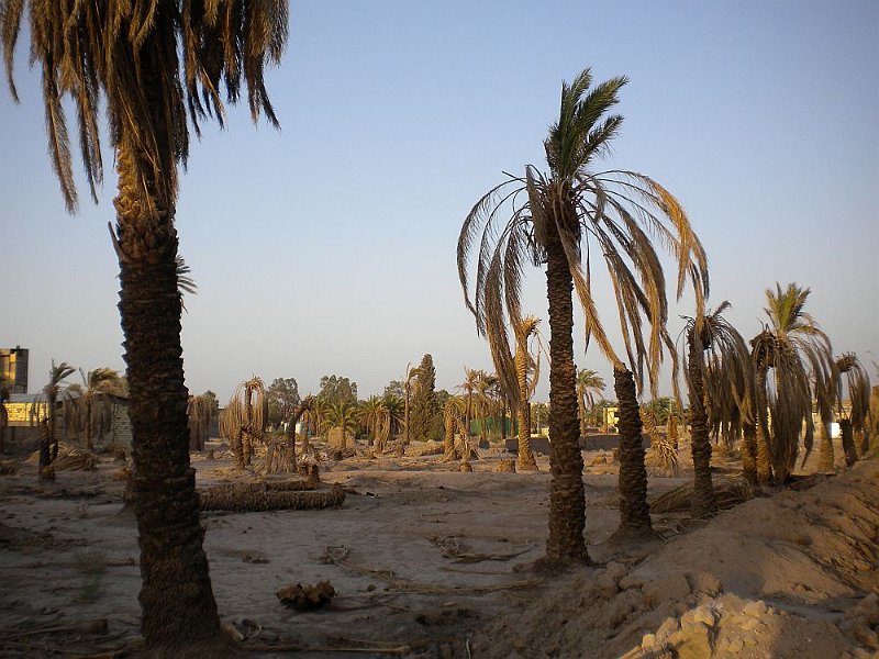 DSCN1938.JPG
