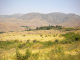 DSCN1528