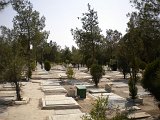 DSCN1773
