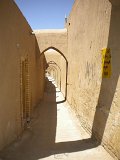 DSCN1883