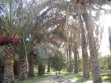 DSCN1935