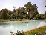 DSCN2086